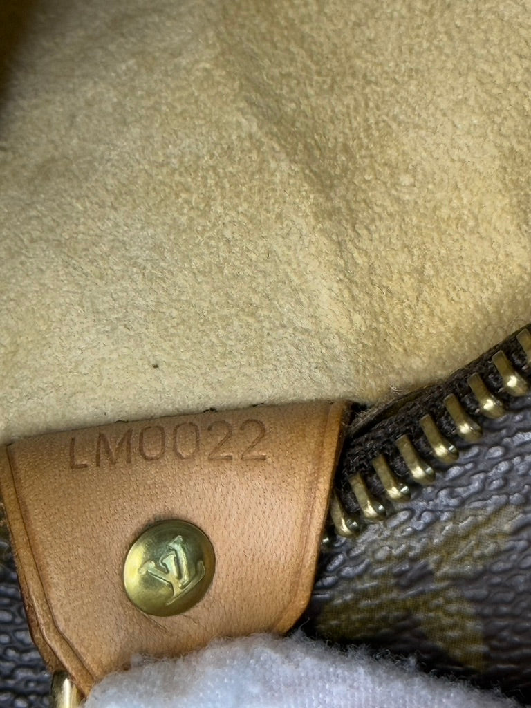 Louis Vuitton Monogram Luco Tote Bag