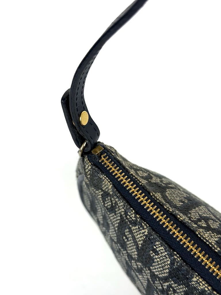 Christian Dior Trotter Saddle Pochette